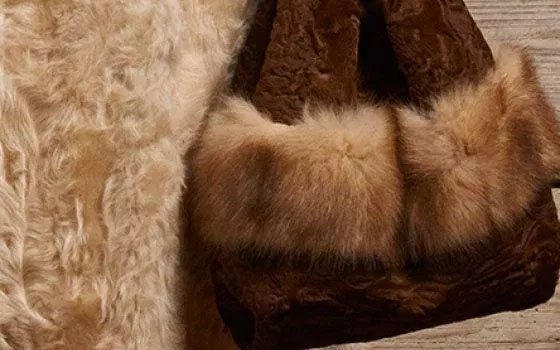 Смолянка, покупая меховые вещи, лишилась всех сбережений
