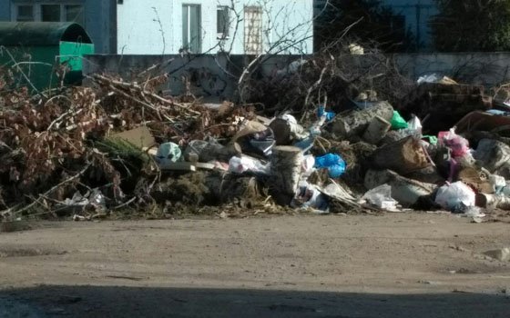 На улице Строителей в Вязьме образовалась стихийная свалка