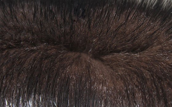 Почему на норковой шубе появляются седые волосы