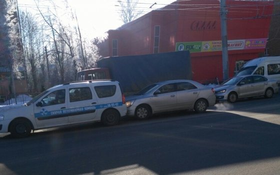 На улице Николаева столкнулись иномарка и машина ветеринарной службы 