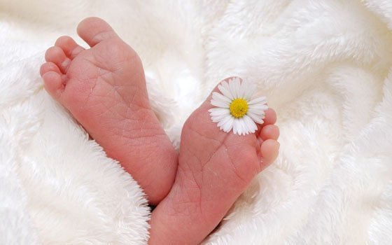 В Смоленске в течение февраля родились 4 двойни 