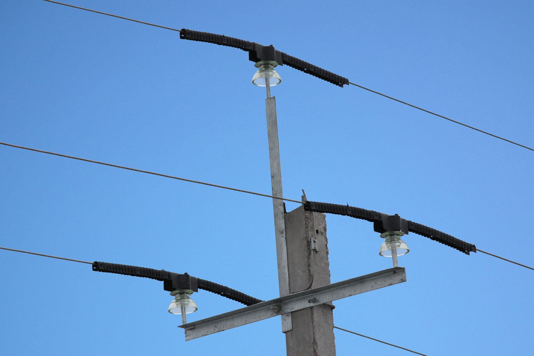 В 2019 году Смоленскэнерго установит 390 птицезащитных устройств на воздушных линиях электропередачи 