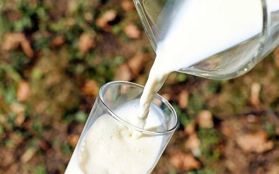 В Смоленской области увеличат субсидирование производителей и переработчиков молока 