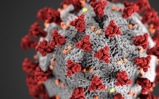 Новых случаев заражения коронавирусом на Смоленщине нет 