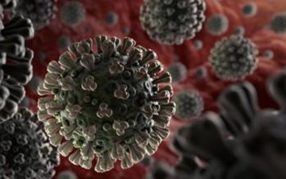 На Смоленщине зарегистрирован второй случай заражения коронавирусом 