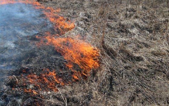 На Смоленщине за сутки ликвидировано 33 очага возгорания травы 