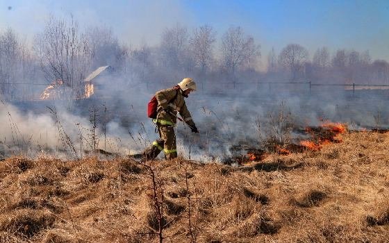 16 возгораний ликвидировали в Смоленской области 27 апреля 