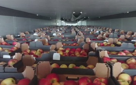 Смоленская таможня не пустила в Россию грузовик с яблоками 