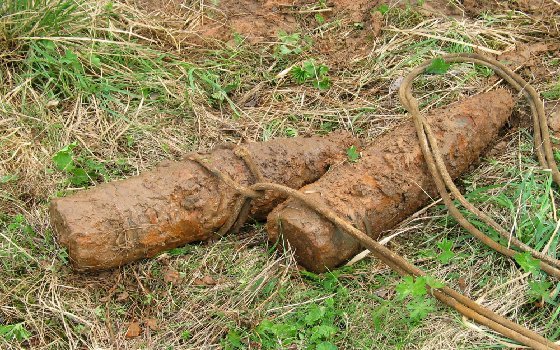Восемь опасных боеприпасов обнаружили в деревне Паново 