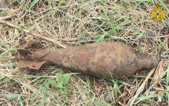 В Руднянском районе нашли опасные боеприпасы 