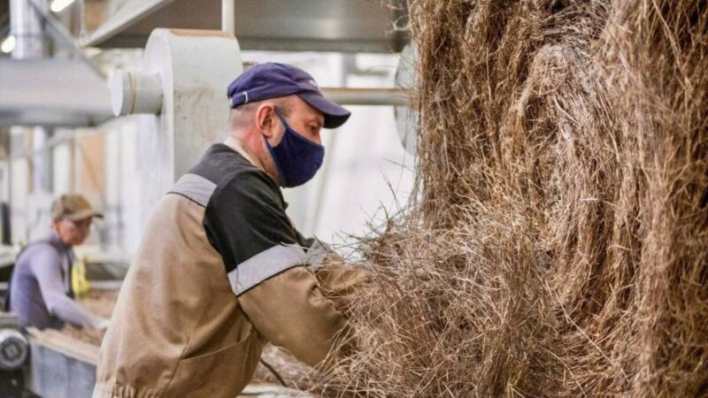 Земля и кадры 