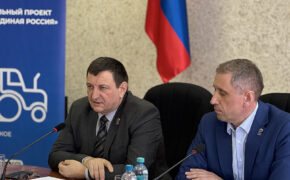 Ставка – на своих