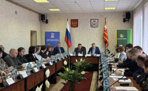 Ставка – на своих