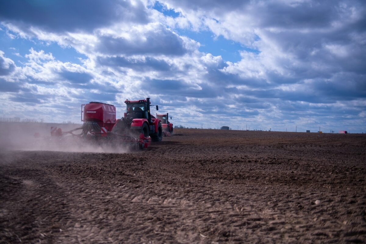 Что посеем? 