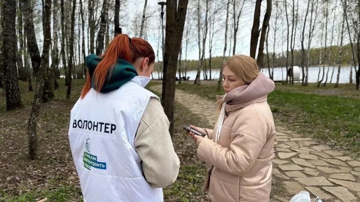 Ваш голос принят 