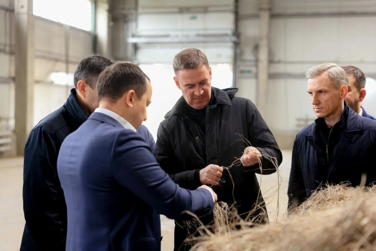 Льняные просторы 