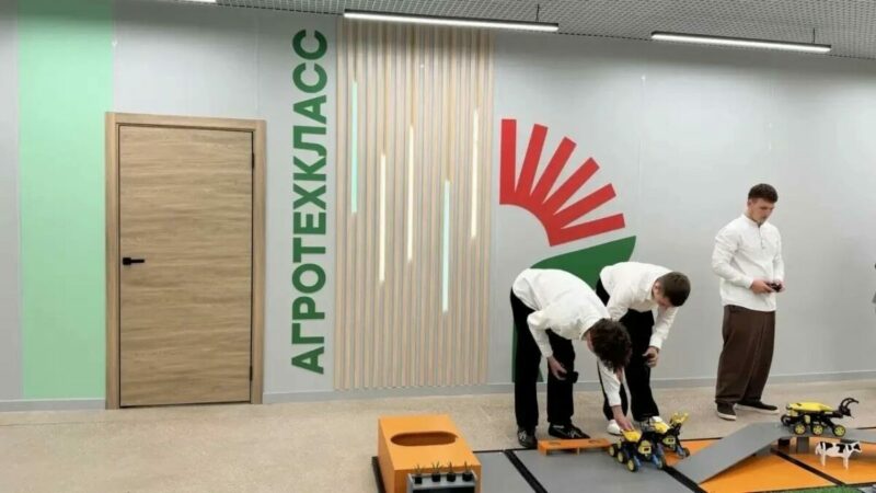 Введение в профессию 