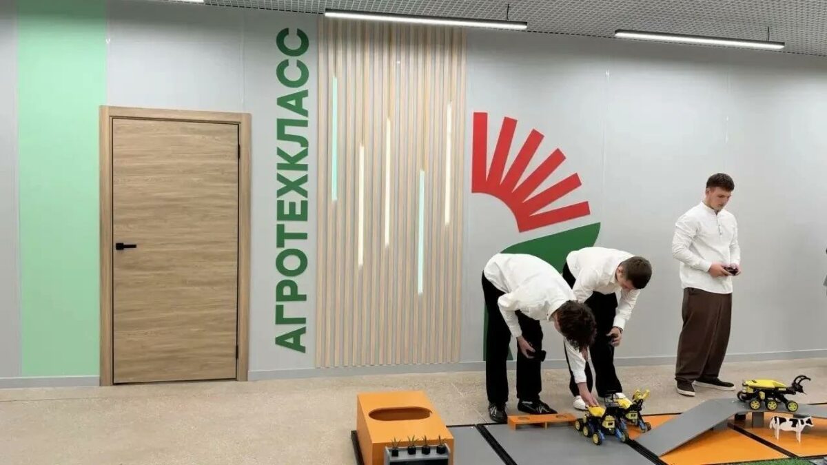 Введение в профессию 
